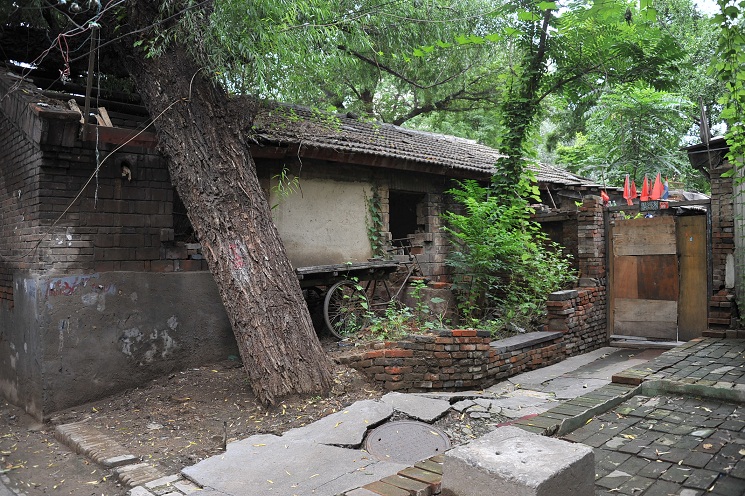 DSC_2893.JPG