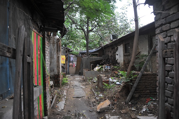 DSC_2894.JPG