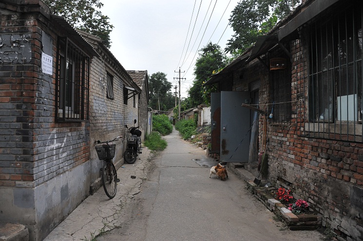 DSC_2902.JPG