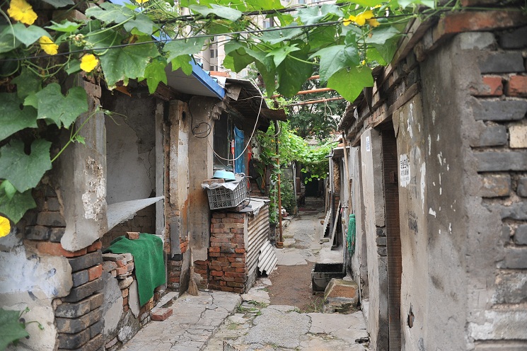 DSC_2907.JPG