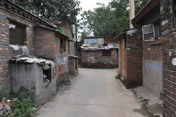 DSC_2914.JPG