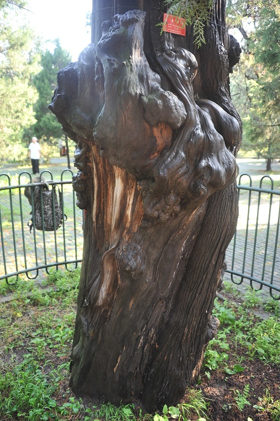 DSC_2568.JPG