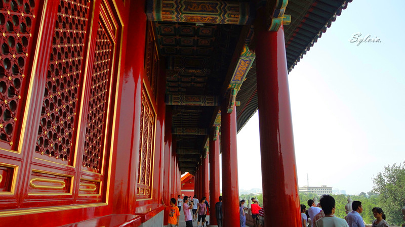 DSC09159_副本.jpg