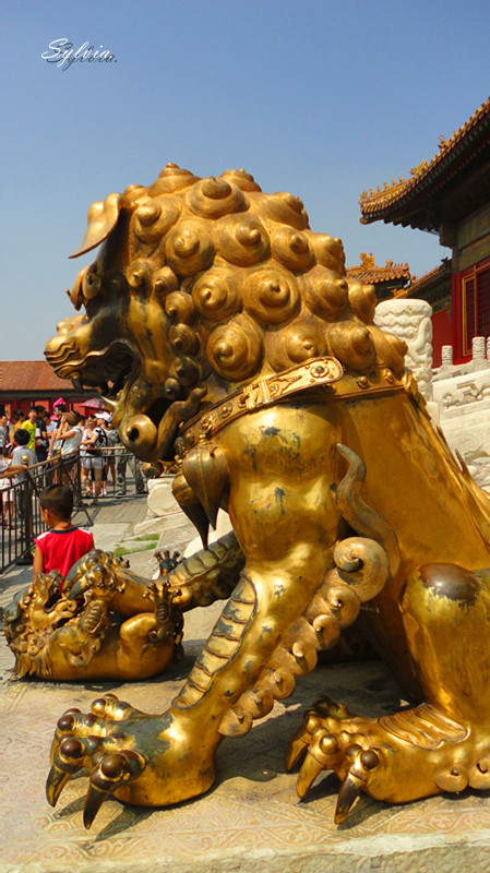 DSC09485_副本.jpg