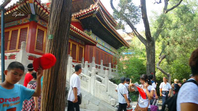 DSC09500_副本.jpg