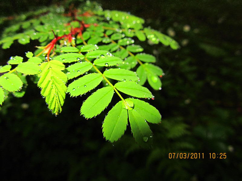 IMG_3927_副本.jpg