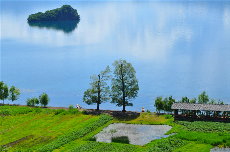 DSC_0484_副本.jpg