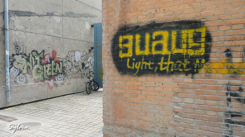 DSC02230_副本.jpg