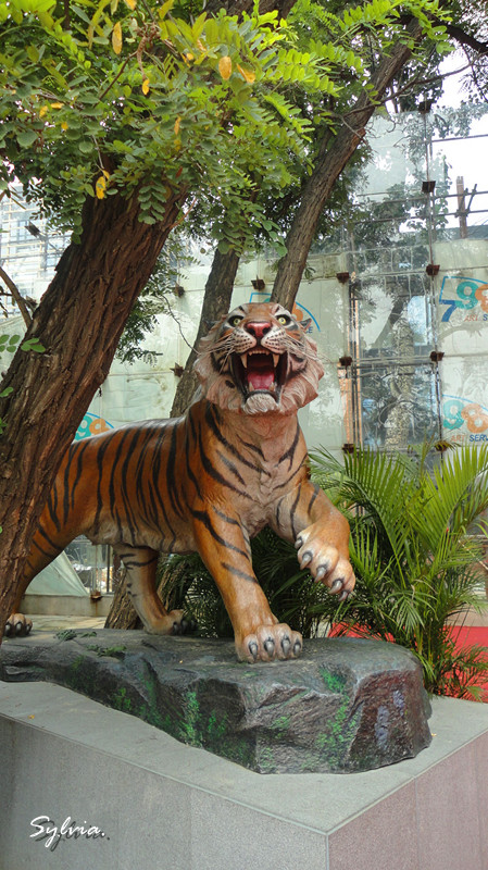 DSC02330_副本.jpg