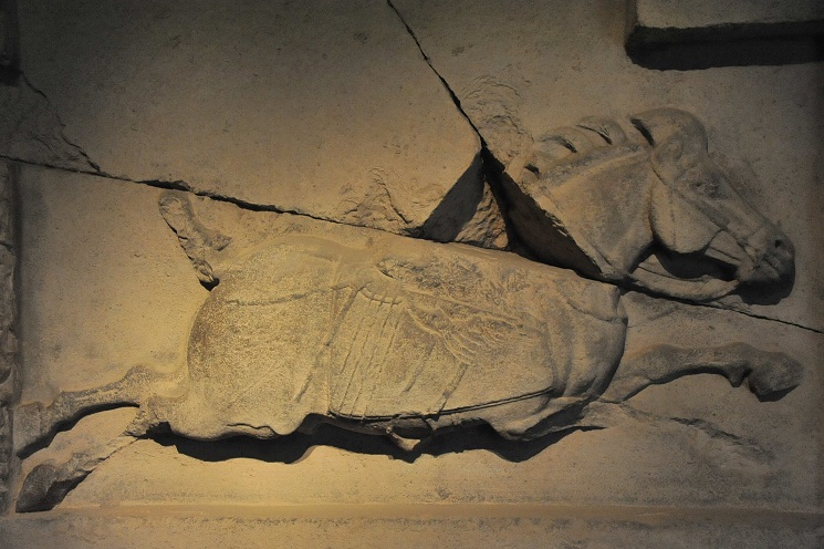 DSC_3343.JPG
