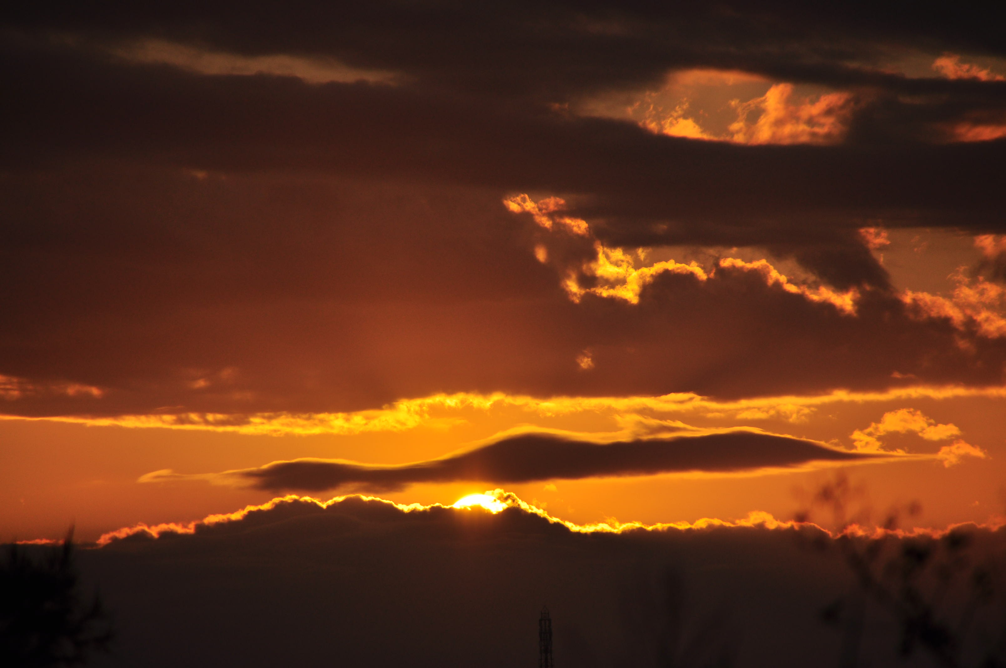 DSC_0020.JPG