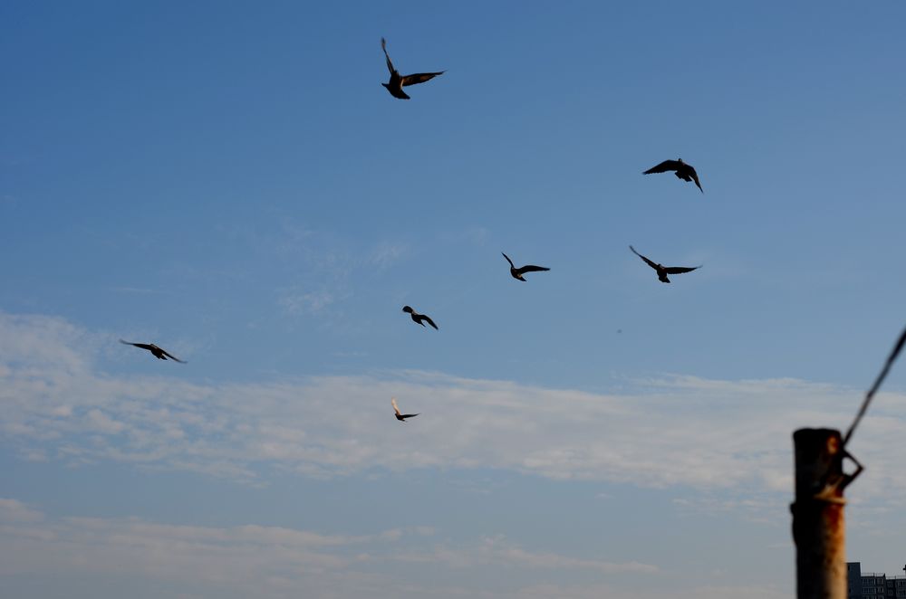 DSC_0007.JPG