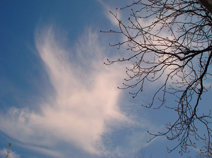 DSC03633_副本.jpg