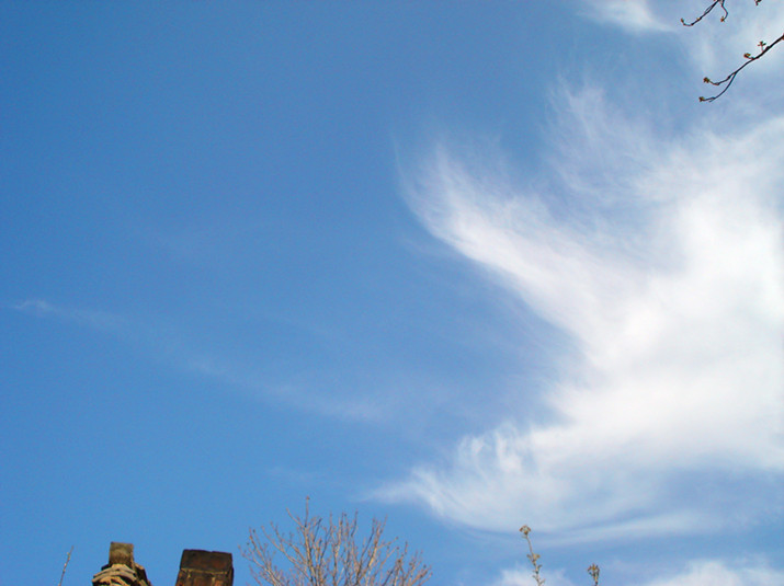 DSC03634_副本.jpg