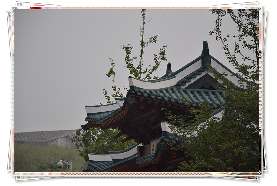 DSC_0061_副本.jpg