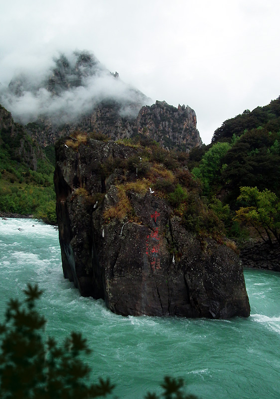 DSCF8271.jpg