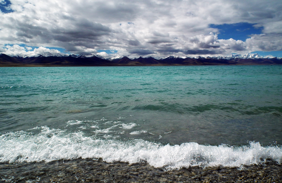 DSCF8575.jpg
