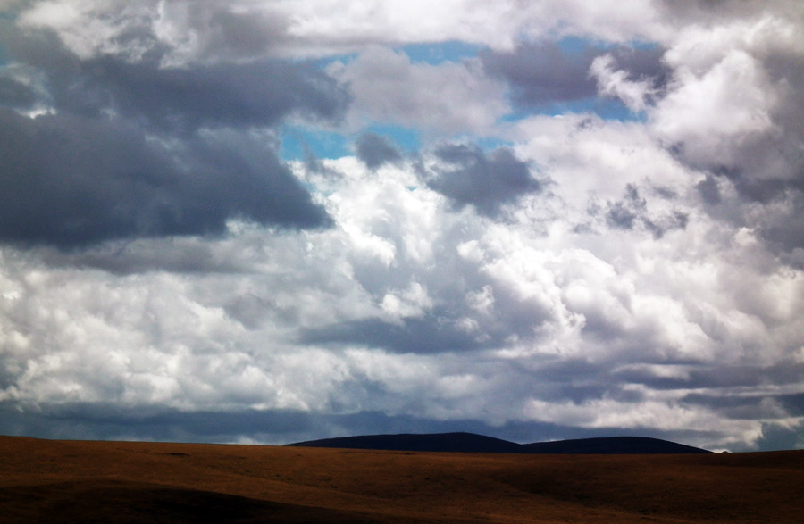 DSCF8654.jpg