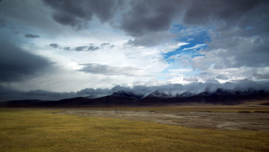 DSCF8655.jpg