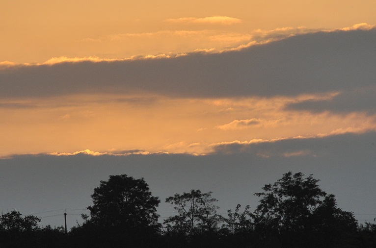 DSC_4819.JPG