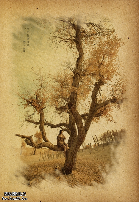 2159501820111201150746077_640.jpg