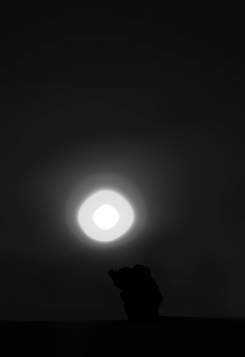 DSC_6496.jpg