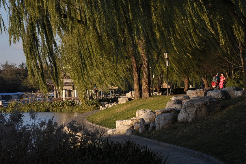DSC_8632.JPG