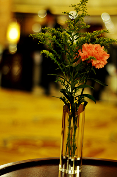 DSC_0201.jpg