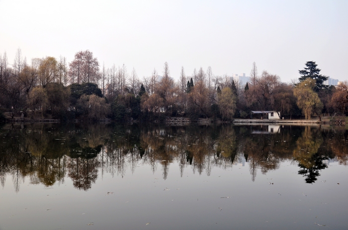 DSC_0489.jpg