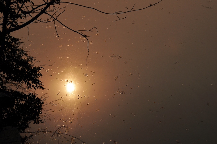 DSC_0520.jpg