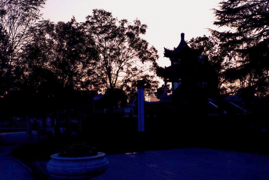 01.jpg