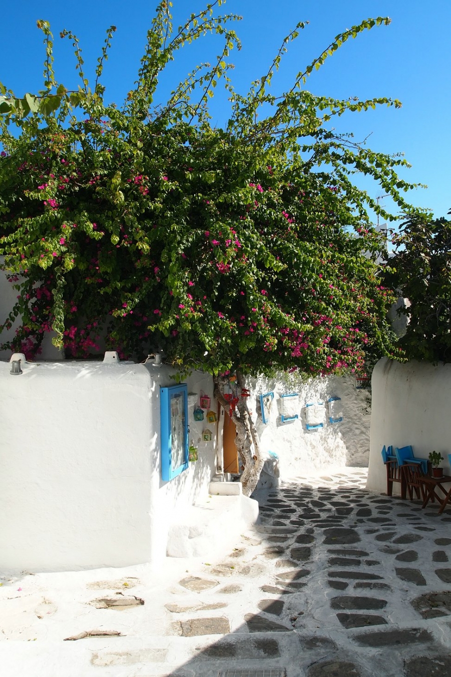 PA040884.jpg