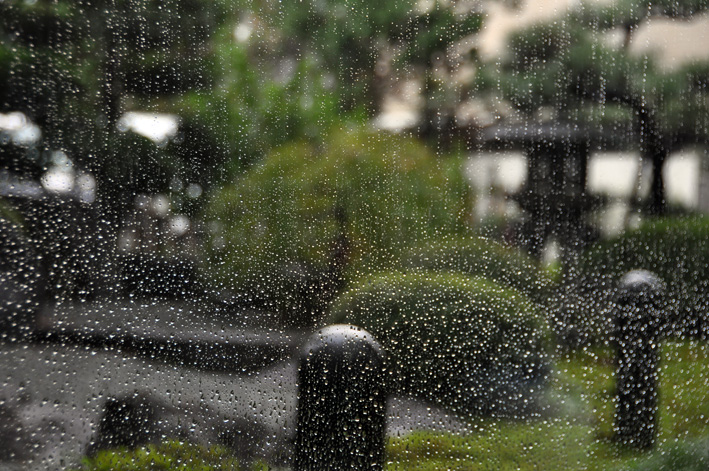 DSC_0250_0.jpg