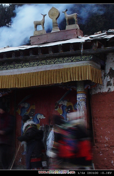 DSC03103.jpg