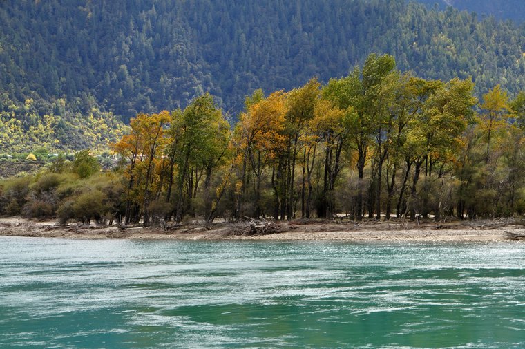 DSC_0588.jpg