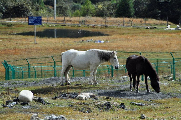 DSC_0653.jpg