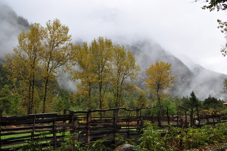 DSC_0798.jpg