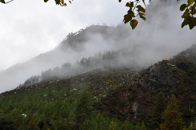 DSC_0807.jpg