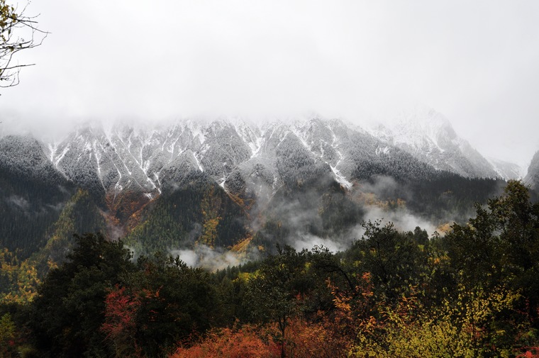 DSC_0813.jpg
