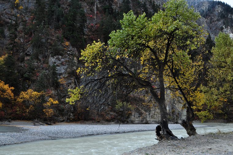 DSC_0871.jpg
