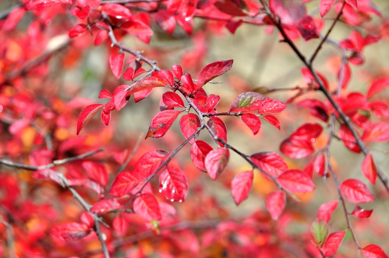 DSC_0877.jpg