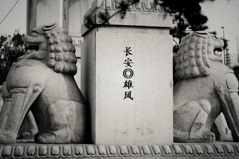_MG_7816.jpg