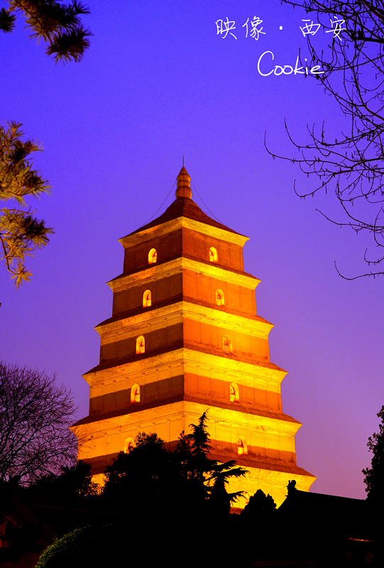 DSC0088_副本.jpg