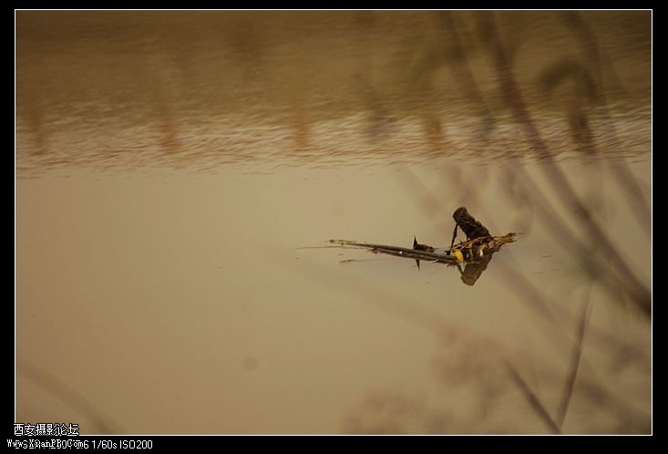 nEO_IMG_DSC04957[1].jpg