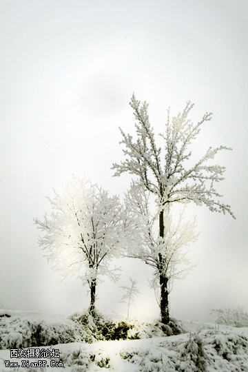 绥德雪景