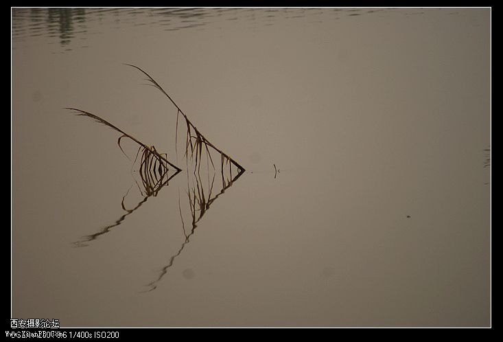 nEO_IMG_DSC04927[1].jpg