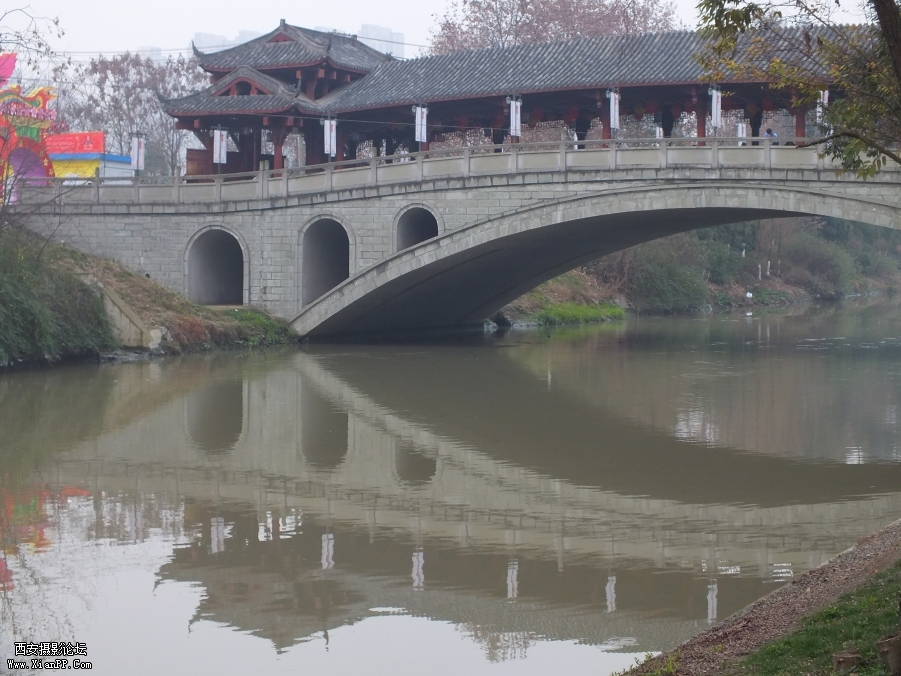 DSCF0922.JPG