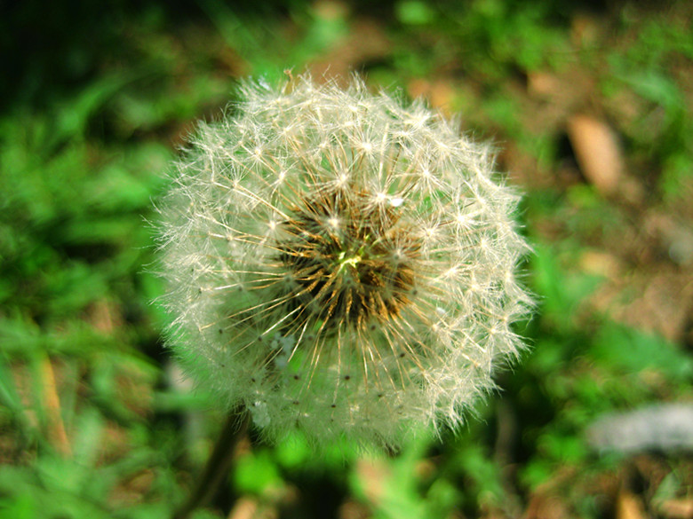 IMG_1798ps_副本.jpg