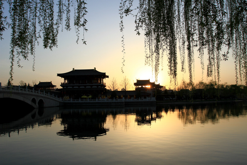 春光明媚芙蓉园 159.jpg