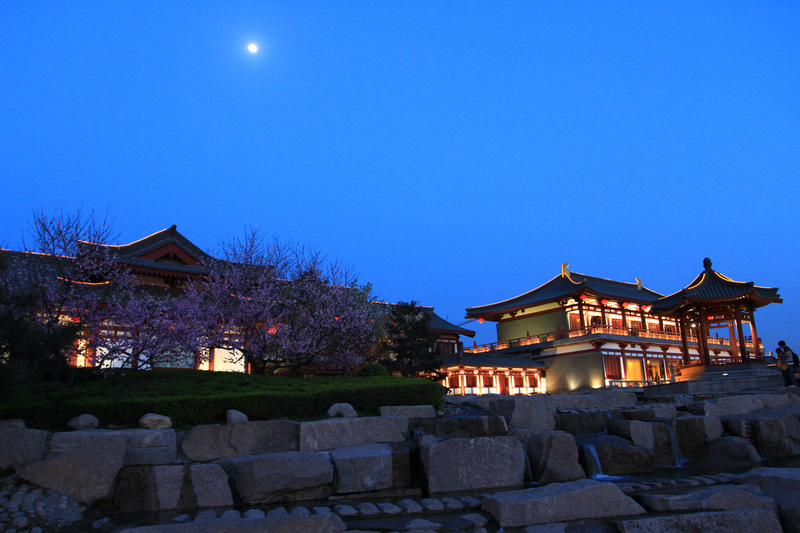 春光明媚芙蓉园 204.jpg